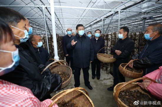 习近平在陕西考察(图11)