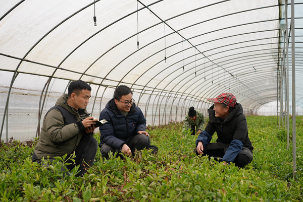 把汗水挥洒在希望的田野  ——记江西省脱贫攻坚先进集体、九江市纪委监委(图1)